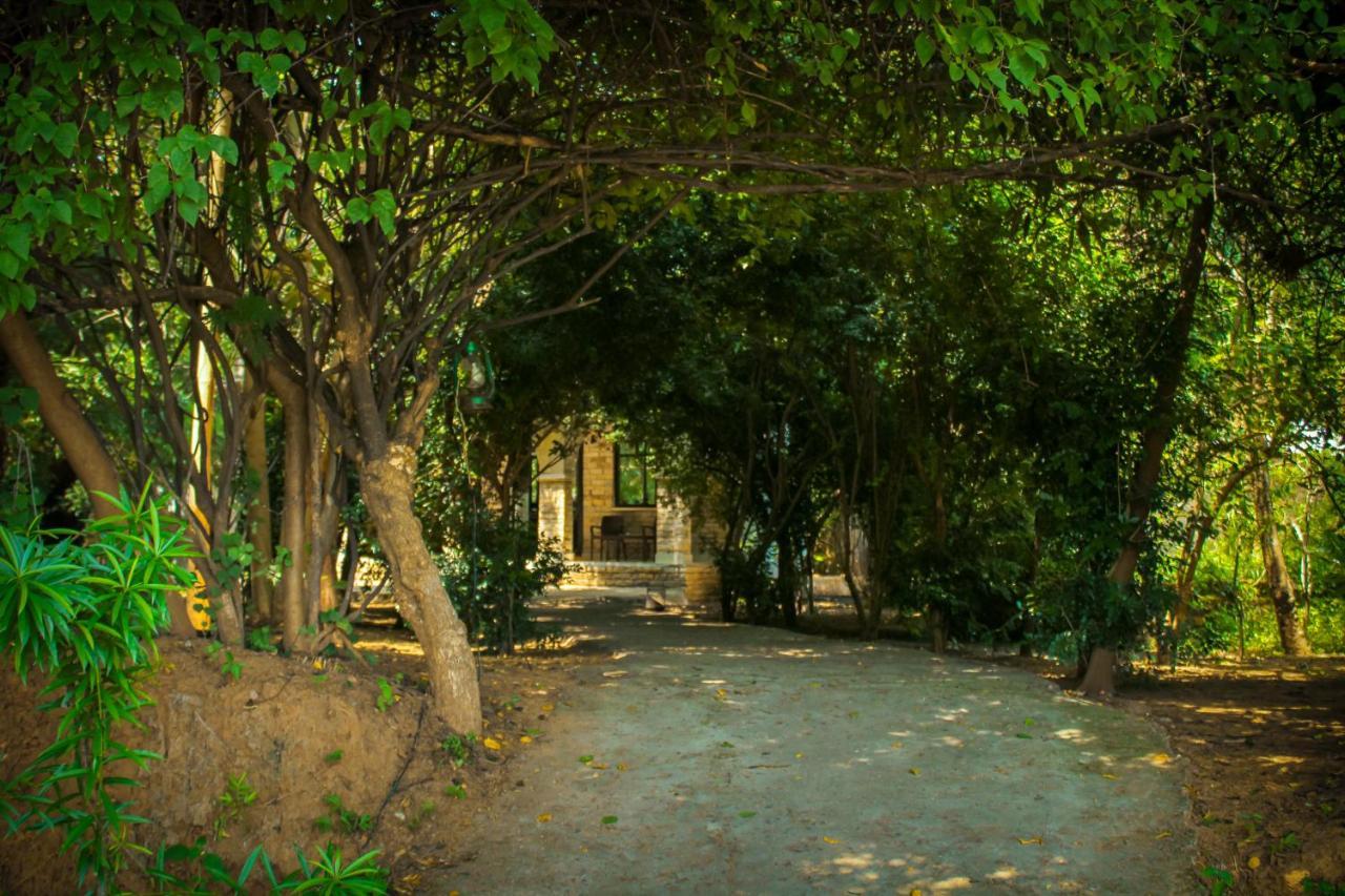 Panna Tiger Resort- Riverside Property Rājgarh Exteriör bild